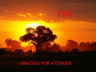 FINGRACIAS POR ATENDER