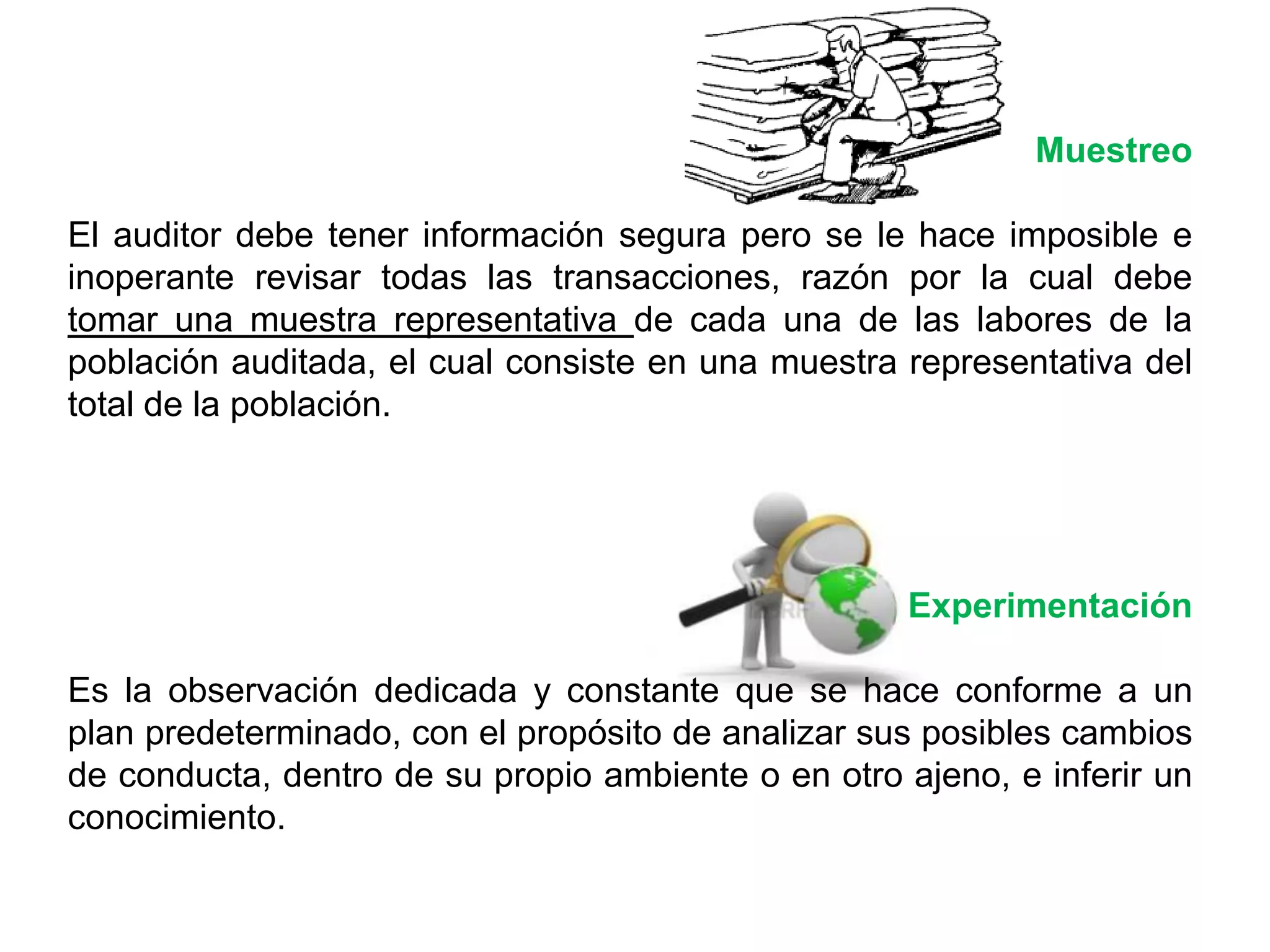 Instrumentos auditoria informatica | PPTX | Databases | Computer ...