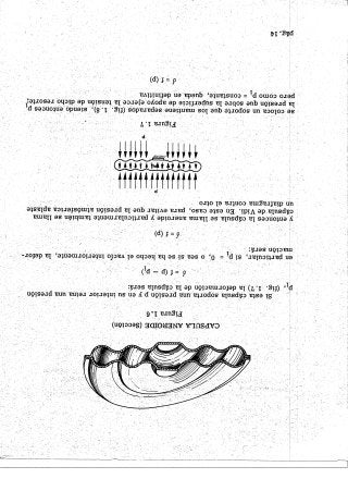 Instrumentos de a Bordo