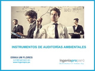 INSTRUMENTOS DE AUDITORÍAS AMBIENTALES


ERIKA UM FLORES
 eum@ingeniapro.pe﻿
 ﻿ ww.ingeniapro.pe
 w
 