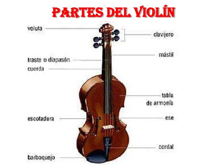 Instrumentos de cuerda