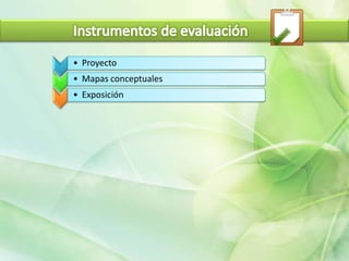 Instrumentos de evaluacion
