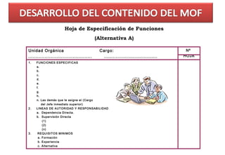 Hoja de Especificación de Funciones
                                              (Alternativa A)

Unidad Orgánica                                Cargo:                                   Nº
...........................................     ....................................   HOJA
1.   FUNCIONES ESPECIFICAS
     a.
     b.
     c.
     d.
     e.
     f.
     g.
     h.
     n. Las demás que le asigne el (Cargo
         del Jefe inmediato superior)
2.   LINEAS DE AUTORIDAD Y RESPONSABILIDAD
     a. Dependencia Directa.
     b. Supervisión Directa
          (1)
          (2)
          (n)
3.    REQUISITOS MINIMOS
      a. Formación
      b. Experiencia
      c. Alternativa
 