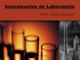 Instrumentos de Laboratorio Profa. Gisela Mendez Preparado por Profa. Rosalba Ortiz 