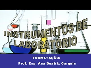 FORMATAÇÃO:
Prof. Esp. Ana Beatriz Cargnin
 
