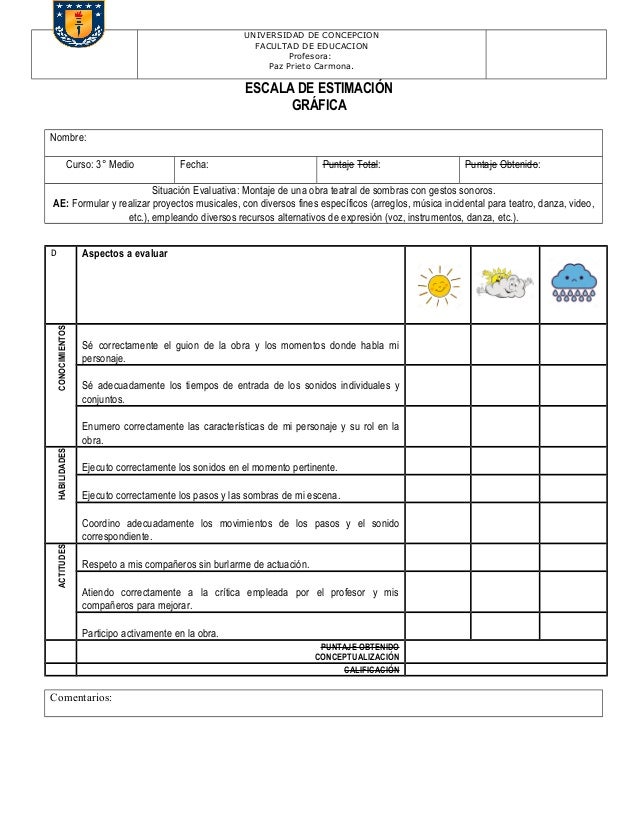 Instrumentos de observación ejemplos