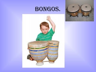 Bongos.
 
