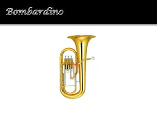 Tubero Instrument Instrumentos de tubo | PPTX