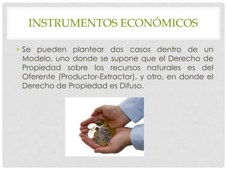 INSTRUMENTOS ECONÓMICOS

• Se pueden plantear dos casos dentro de un
  Modelo, uno donde se supone que el Derecho de
  Propiedad sobre los recursos naturales es del
  Oferente (Productor-Extractor), y otro, en donde el
  Derecho de Propiedad es Difuso.
 