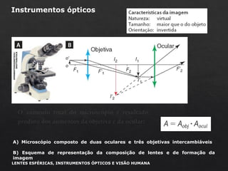 Microscópio composto
O aumento total do microscópio é resultado do
produto dos aumentos da objetiva e da ocular:
A) Microscópio composto de duas oculares e três objetivas intercambiáveis
B) Esquema de representação da composição de lentes e de formação da
imagem
Instrumentos ópticos
OPENBESTDESIGNSTOCK/
SHUTTERSTOCK
LENTES ESFÉRICAS, INSTRUMENTOS ÓPTICOS E VISÃO HUMANA
 