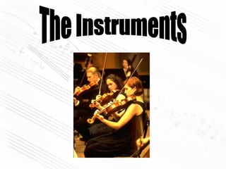 The Instruments 