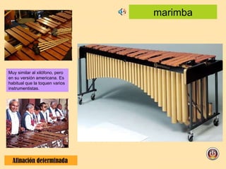 marimba Afinación determinada  Muy similar al xilófono, pero en su versión americana. Es habitual que la toquen varios instrumentistas. 