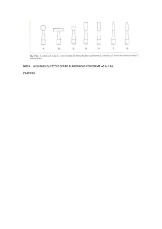 Instrumentos manuais e cortantes