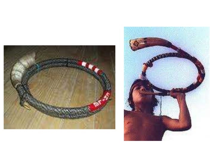 Instrumentos mapuches