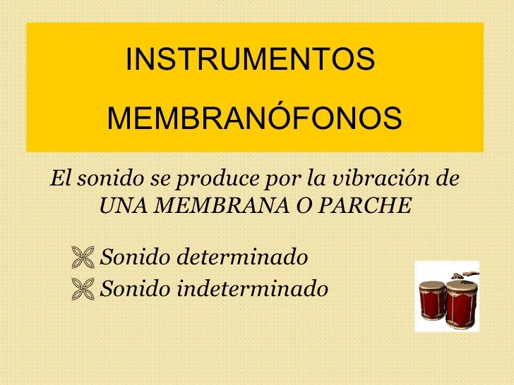 Instrumentos Membranofonos