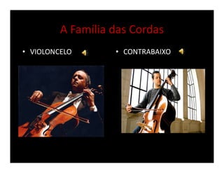 A Família das Cordas
• VIOLONCELO • CONTRABAIXO
 