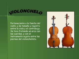 Perteneciente a la familia del violín, y de tamaño y registro entre la viola y el contrabajo. Se toca frotando un arco con las cuerdas, y con el instrumento sujeto entre las piernas del violonchelista.  VIOLONCHELO 