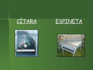 CÍTARA   ESPINETA 