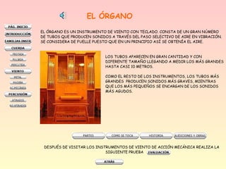 EL ÓRGANO
EL ÓRGANO ES UN INSTRUMENTO DE VIENTO CON TECLADO. CONSTA DE UN GRAN NÚMERO
DE TUBOS QUE PRODUCEN SONIDOS A TRAVÉS DEL PASO SELECTIVO DE AIRE EN VIBRACIÓN.
SE CONSIDERA DE FUELLE PUESTO QUE EN UN PRINCIPIO ASÍ SE OBTENÍA EL AIRE.

LOS TUBOS APARECEN EN GRAN CANTIDAD Y CON
DIFERENTE TAMAÑO LLEGANDO A MEDIR LOS MÁS GRANDES
HASTA CASI 10 METROS.
COMO EL RESTO DE LOS INSTRUMENTOS, LOS TUBOS MÁS
GRANDES PRODUCEN SONIDOS MÁS GRAVES, MIENTRAS
QUE LOS MÁS PEQUEÑOS SE ENCARGAN DE LOS SONIDOS
MÁS AGUDOS.

DESPUÉS DE VISITAR LOS INSTRUMENTOS DE VIENTO DE ACCIÓN MECÁNICA REALIZA LA
SIGUIENTE PRUEBA

 