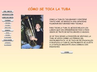CÓMO SE TOCA LA TUBA
COMO LA TUBA ES TAN GRANDE Y CONTIENE
TANTO AIRE, SE NECESITA UNA CAPACIDAD
PULMONAR MUY GRANDE PARA TOCARLA
PARA TOCAR LA TUBA, EL MÚSICO RELAJA LOS
LABIOS QUE VAN OPRIMIÉNDOSE POCO A POCO
SEGÚN SE TRATE DE NOTAS GRAVES O AGUDAS.
SI SE TOCA DESDE LA POSICIÓN DE SENTADO, LA
TUBA SE APOYA SOBRE LAS PIERNAS DEL
INSTRUMENTISTA. SI SE TOCA DE PIE (PASACALLES
O DESFILES) LA TUBA EL INSTRUMENTO SE SUJETA
A LA ESPALDA MEDIANTE UNAS CORREAS CON
ENGANCHES

 