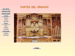 PARTES DEL ÓRGANO
 