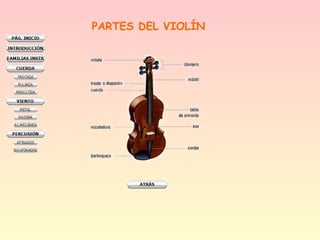 PARTES DEL VIOLÍN
 