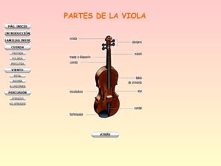 PARTES DE LA VIOLA
 