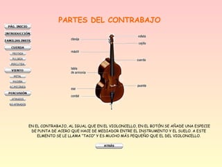 PARTES DEL CONTRABAJO
EN EL CONTRABAJO, AL IGUAL QUE EN EL VIOLONCELLO, EN EL BOTÓN SE AÑADE UNA ESPECIE
DE PUNTA DE ACERO QUE HACE DE MEDIADOR ENTRE EL INSTRUMENTO Y EL SUELO. A ESTE
ELMENTO SE LE LLAMA “TACO” Y ES MUCHO MÁS PEQUEÑO QUE EL DEL VIOLONCELLO.
 