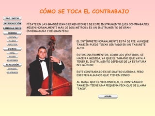 CÓMO SE TOCA EL CONTRABAJO
FÍJATE EN LAS GRANDÍSIMAS DIMENSIONES DE ESTE INSTRUMENTO (LOS CONTRABAJOS
MIDEN NORMALMENTE MÁS DE DOS METROS). ES UN INSTRUMENTO DE GRAN
ENVERGADURA Y DE GRAN PESO.
EL INTÉRPRETE NORMALMENTE ESTÁ DE PIE, AUNQUE
TAMBIÉN PUEDE TOCAR SENTADO EN UN TABURETE
ALTO.
ESTOS INSTRUMENTOS, COMO LOS VESTIDOS, SE
HACEN A MEDIDA, YA QUE EL TAMAÑO QUE VAYA A
TENER EL INSTRUMENTO DEPENDE DE LA ESTATURA
DEL MÚSICO.
ESTE CONTRABAJO ES DE CUATRO CUERDAS, PERO
EXISTEN ALGUNOS QUE TIENEN CINCO.
AL IGUAL QUE EL VIOLONCELLO, EL CONTRABAJO
TAMBIÉN TIENE UNA PEQUEÑA PICA QUE SE LLAMA
“TACO”.
 