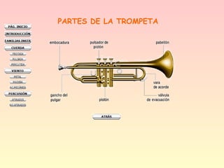PARTES DE LA TROMPETA
 