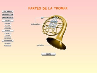 PARTES DE LA TROMPA
 