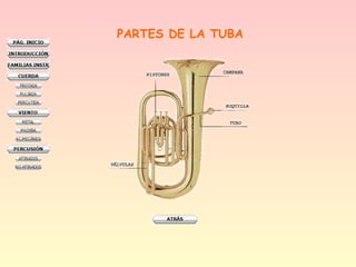 PARTES DE LA TUBA
 