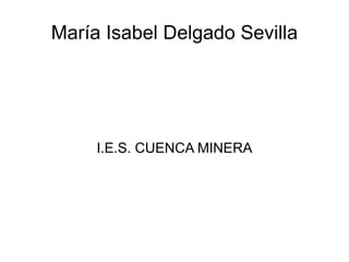 María Isabel Delgado Sevilla I.E.S. CUENCA MINERA 