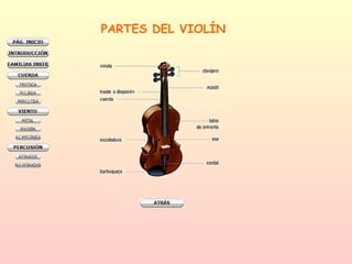 PARTES DEL VIOLÍN 