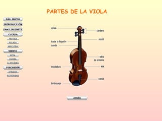 PARTES DE LA VIOLA 