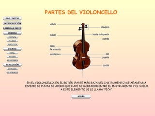 PARTES DEL VIOLONCELLO EN EL VIOLONCELLO, EN EL BOTÓN (PARTE MÁS BAJA DEL INSTRUMENTO) SE AÑADE UNA  ESPECIE DE PUNTA DE ACERO QUE HACE DE MEDIADOR ENTRE EL INSTRUMENTO Y EL SUELO. A ESTE ELEMENTO SE LE LLAMA “PICA”.  