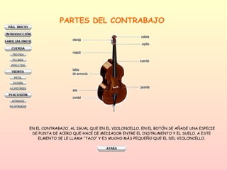 PARTES DEL CONTRABAJO EN EL CONTRABAJO, AL IGUAL QUE EN EL VIOLONCELLO, EN EL BOTÓN SE AÑADE UNA ESPECIE DE PUNTA DE ACERO QUE HACE DE MEDIADOR ENTRE EL INSTRUMENTO Y EL SUELO. A ESTE  ELMENTO SE LE LLAMA “TACO” Y ES MUCHO MÁS PEQUEÑO QUE EL DEL VIOLONCELLO.  