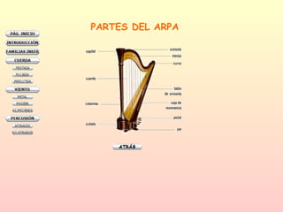 PARTES DEL ARPA 