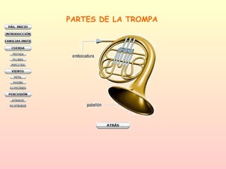 PARTES DE LA TROMPA 