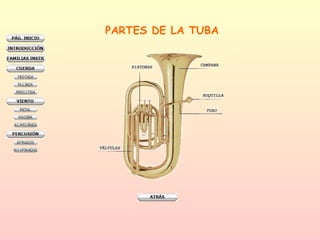 PARTES DE LA TUBA 