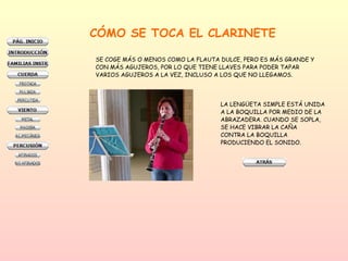 CÓMO SE TOCA EL CLARINETE SE COGE MÁS O MENOS COMO LA FLAUTA DULCE, PERO ES MÁS GRANDE Y  CON MÁS AGUJEROS, POR LO QUE TIENE LLAVES PARA PODER TAPAR VARIOS AGUJEROS A LA VEZ, INCLUSO A LOS QUE NO LLEGAMOS.  LA LENGÜETA SIMPLE ESTÁ UNIDA A LA BOQUILLA POR MEDIO DE LA ABRAZADERA. CUANDO SE SOPLA, SE HACE VIBRAR LA CAÑA  CONTRA LA BOQUILLA  PRODUCIENDO EL SONIDO.  