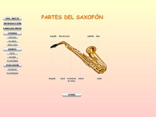 PARTES DEL SAXOFÓN 