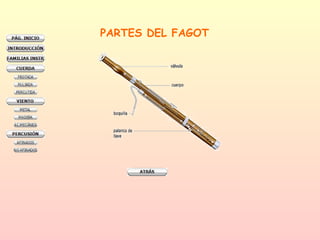 PARTES DEL FAGOT 