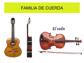 FAMILIA DE CUERDA
 