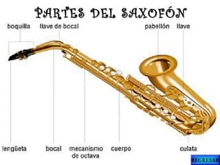 PARTES DEL SAXOFÓNPARTES DEL SAXOFÓN
REGRESAR
 
