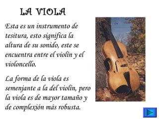 LA VIOLALA VIOLA
Esta es un instrumento de
tesitura, esto significa la
altura de su sonido, este se
encuentra entre el violín y el
violoncello.
La forma de la viola es
semenjante a la del violín, pero
la viola es de mayor tamaño y
de complexión más robusta.
 