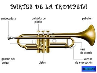 PARTES DE LA TROMPETAPARTES DE LA TROMPETA
REGRESAR
 