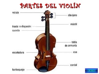 PARTES DEL VIOLÍNPARTES DEL VIOLÍN
REGRESAR
 