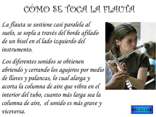 La flauta se sostiene casi paralela al
suelo, se sopla a través del borde afilado
de un bisel en el lado izquierdo del
instrumento.
Los diferentes sonidos se obtienen
abriendo y cerrando los agujeros por medio
de llaves y palancas, lo cual alarga y
acorta la columna de aire que vibra en el
interior del tubo, cuanto más larga sea la
columna de aire,  el sonido es más grave y
viceversa.
CÓMO SE TOCA LA FLAUTACÓMO SE TOCA LA FLAUTA
REGRESAR
 