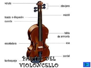 Instrumentos musicales